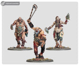 Warhammer Age of Sigmar Boss-Stompers