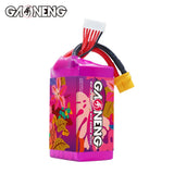 GAONENG GNB 1530mAh 6S 160C 22.2V XT60 LiPo Battery [DG]