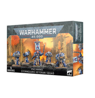 Space Marines: Sternguard Veteran Squad - image